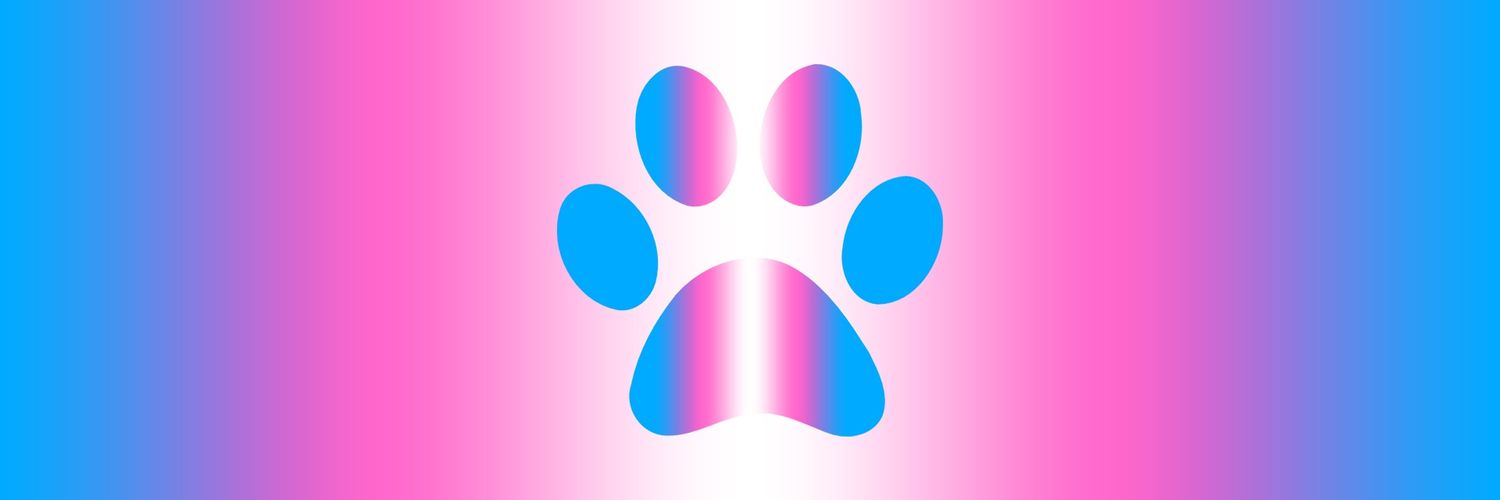 rainlightwing's profile banner image