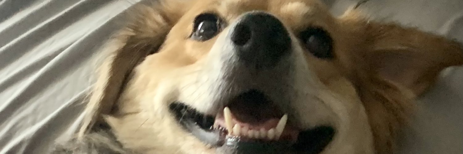 MacMurad's profile banner image