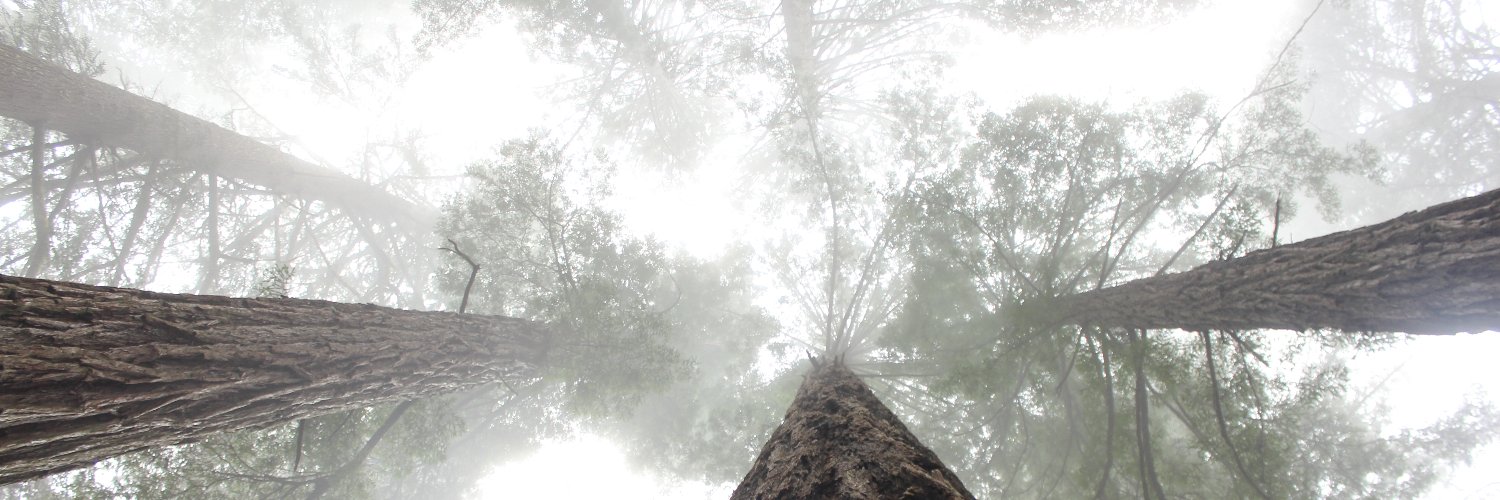 Tokinfold's profile banner image