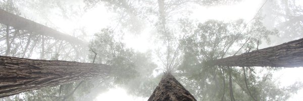 Tokinfold Profile Banner
