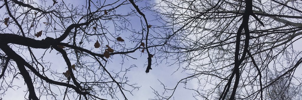 e_sivanova's profile banner image