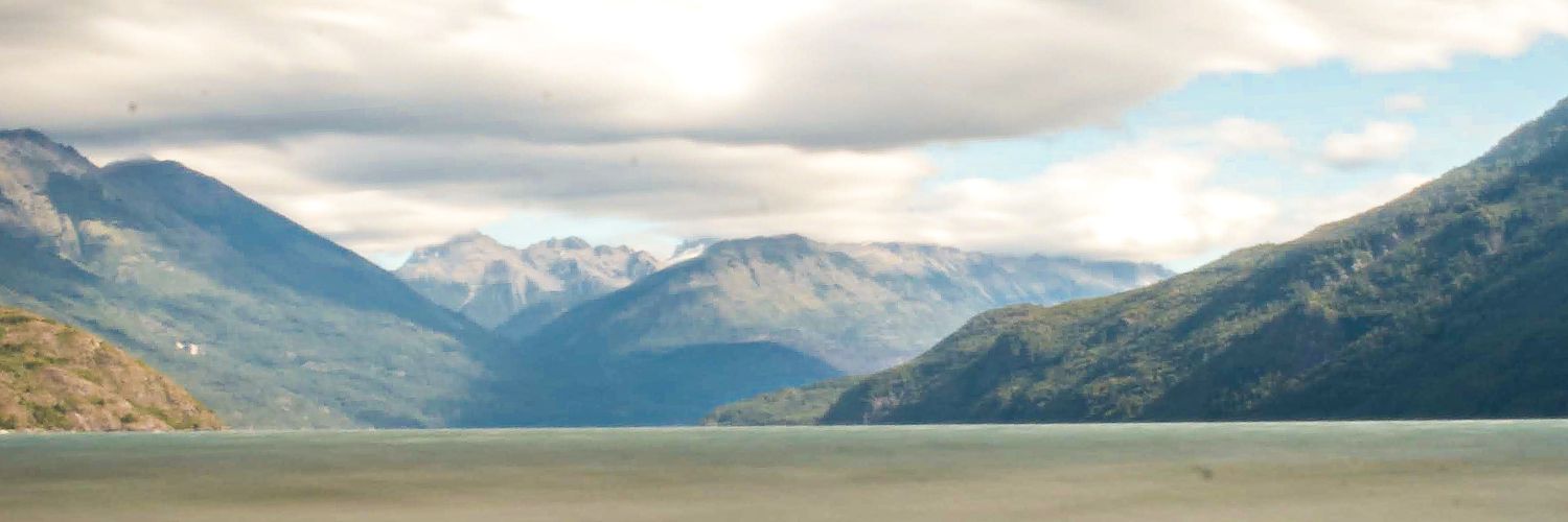 gringofede's profile banner image