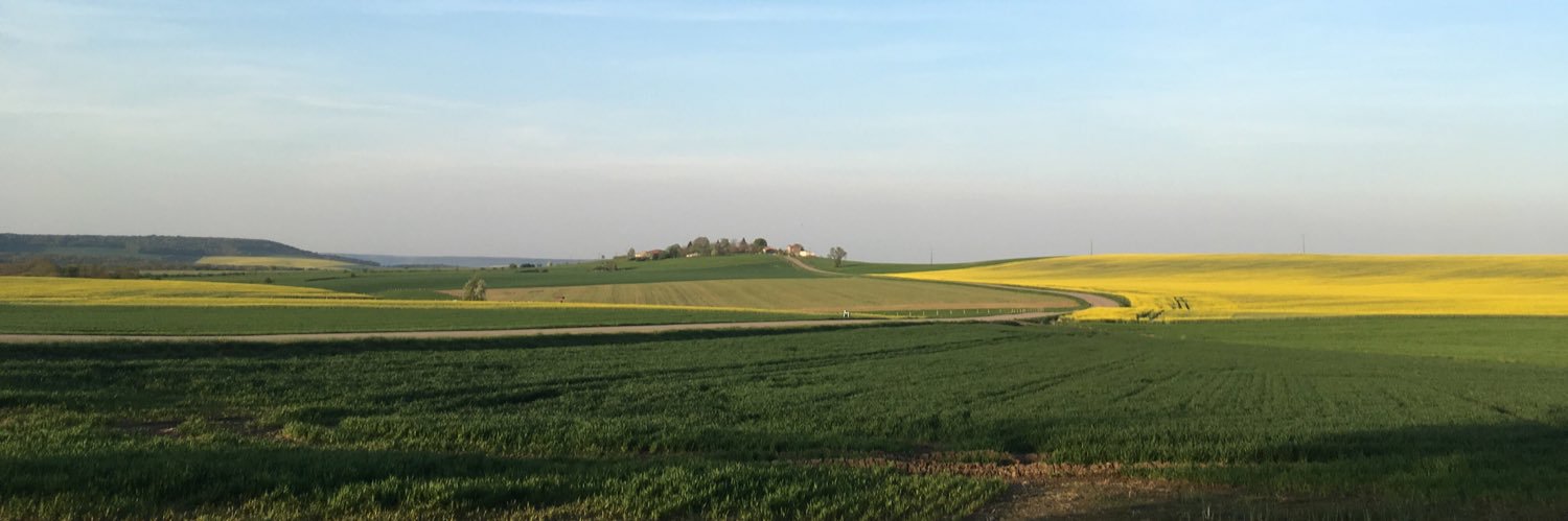 Benoît Monet banner