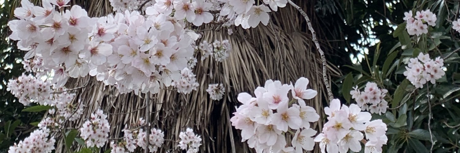 tousei2828's profile banner image