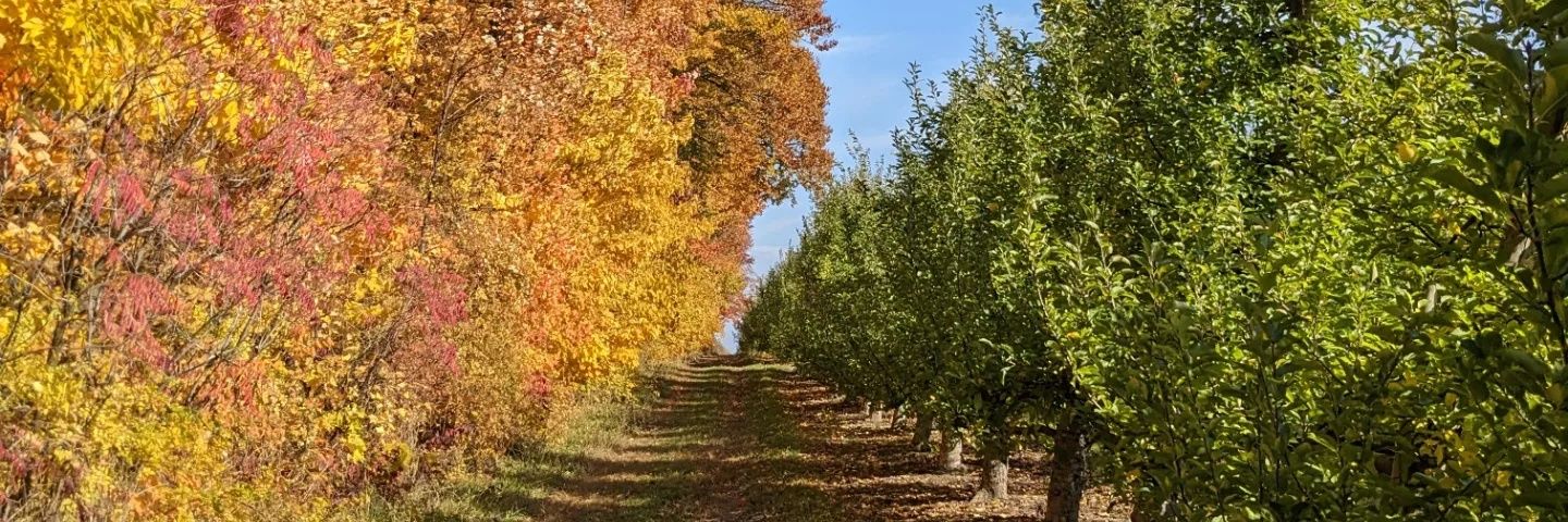 Vander Mill Ciders banner