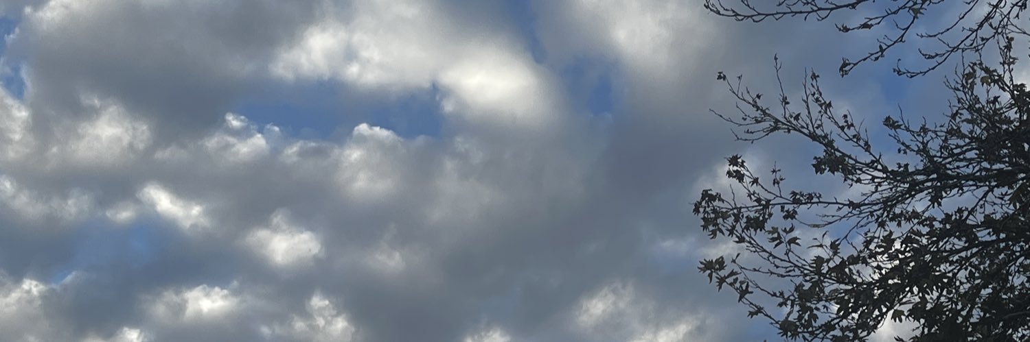 Ela banner