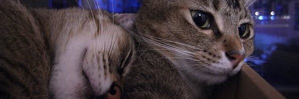 lokiitime's profile banner image