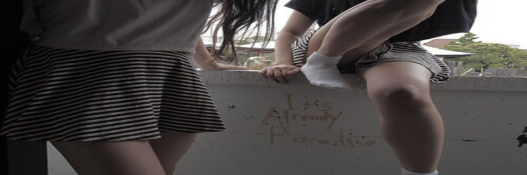 drewfect's profile banner image