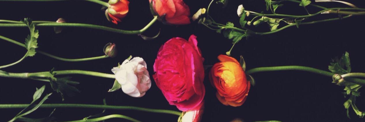itsLVR's profile banner image