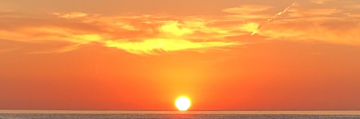 anfas990's profile banner image
