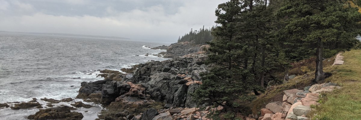 ASleepyPenguin's profile banner image