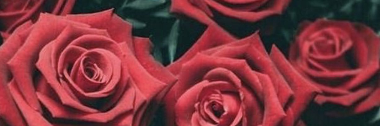 KimberlySim95's profile banner image