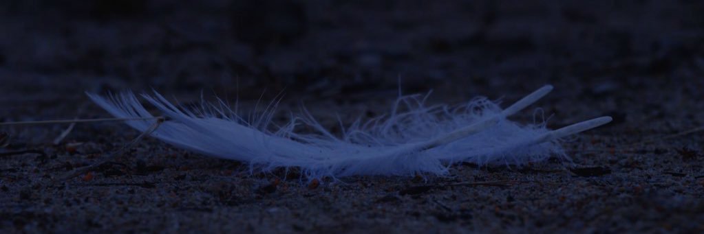 ㅈ banner