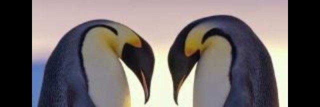 maytegy's profile banner image