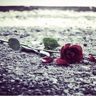 ADSTPRMSWR's profile banner image