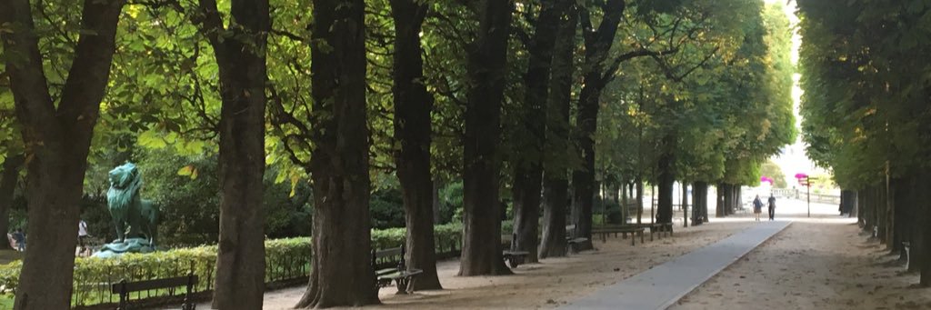 CarolineGidiere's profile banner image