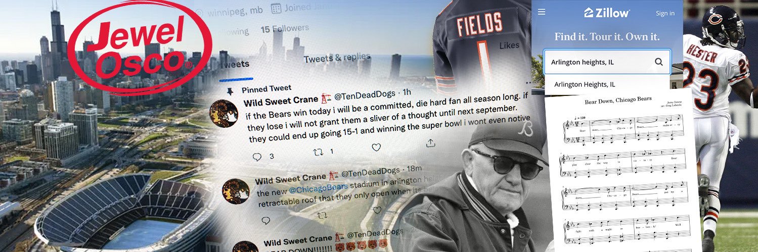 RealRiceBoy's profile banner image