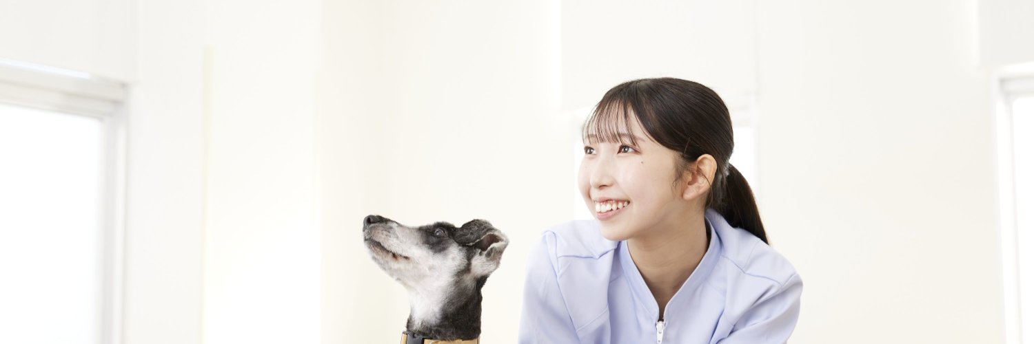 peppykango's profile banner image