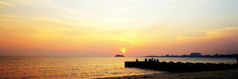 palmsugarss's profile banner image
