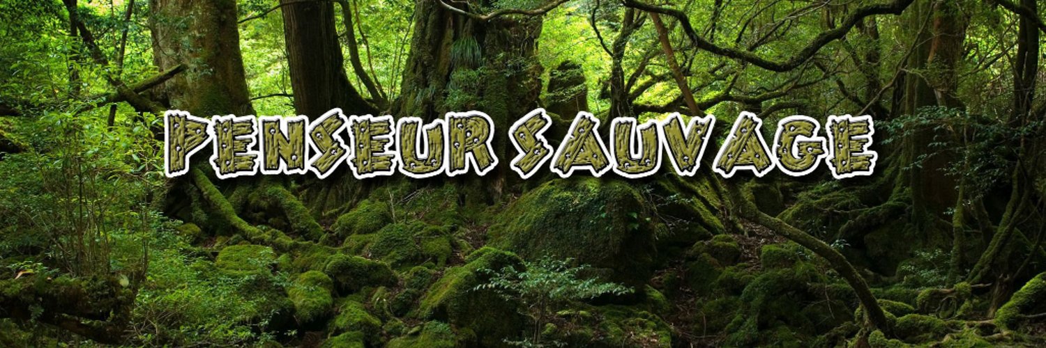 Penseur Sauvage Profile Banner