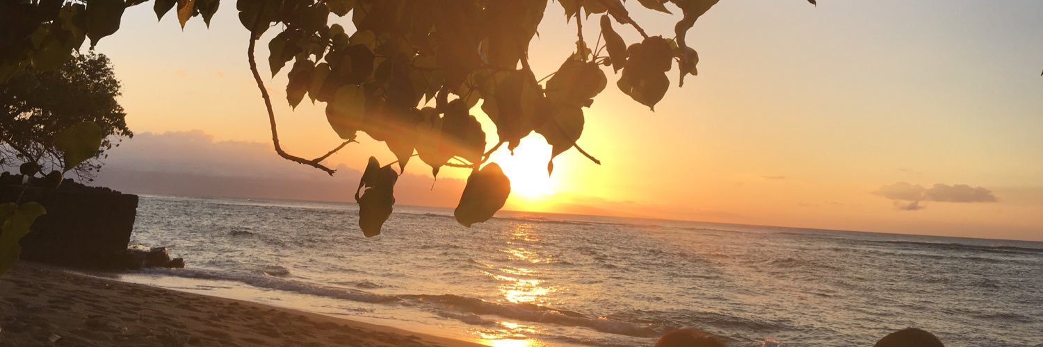 MAGS8710's profile banner image