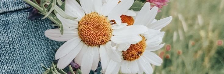003_coco_'s profile banner image
