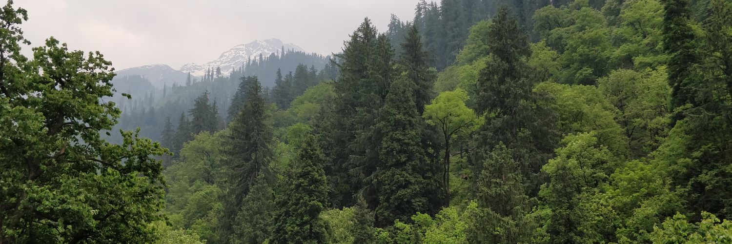 deepanshu_3255's profile banner image