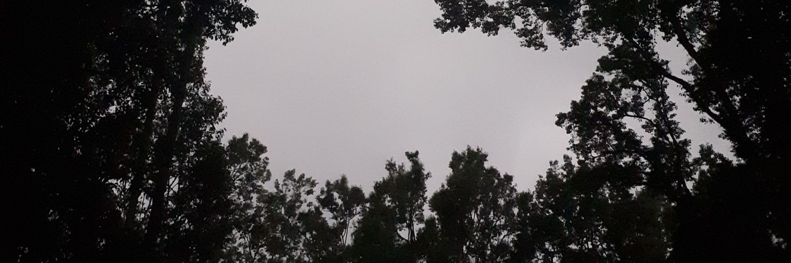 lutfiahadifaa's profile banner image