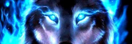 Xhexhubear's profile banner image