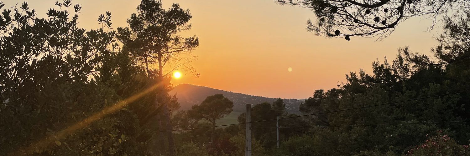 judith miñana ruiz banner