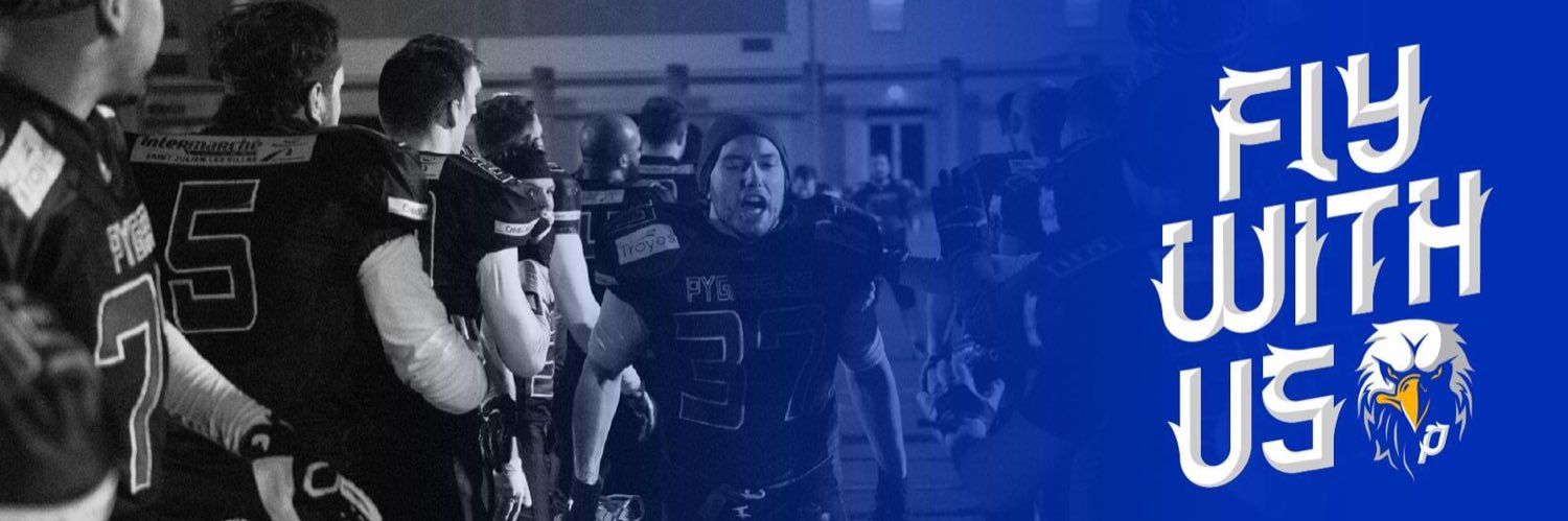 PygarguesTroyes's profile banner image