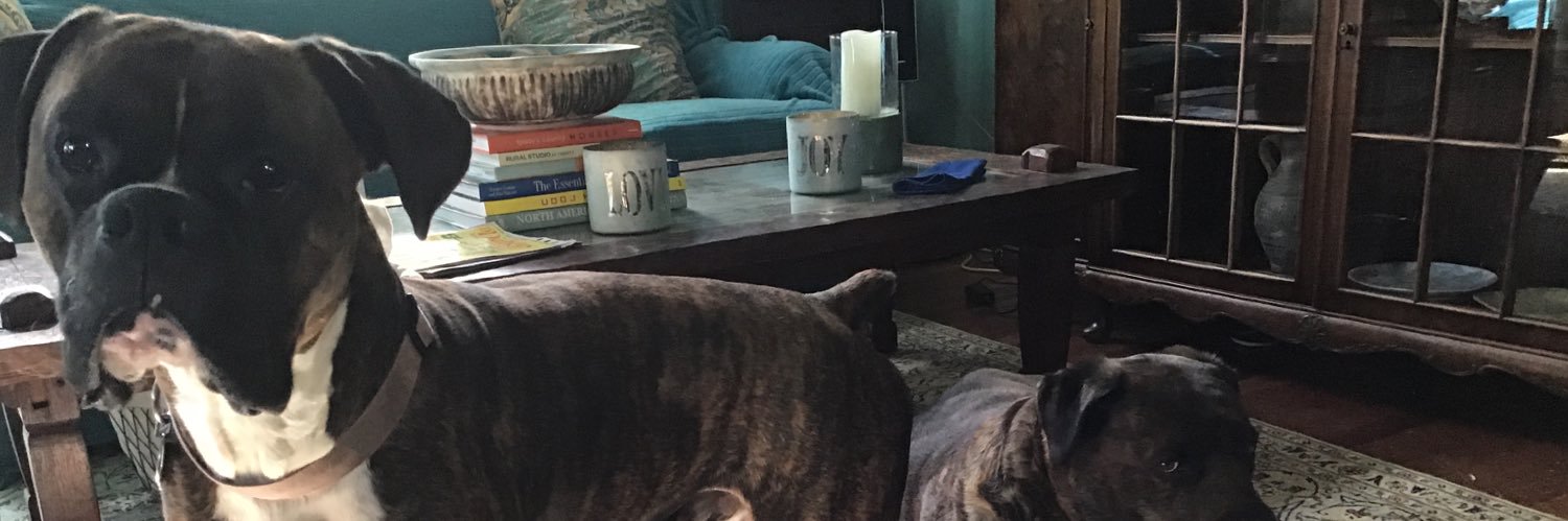 Gary Boddicker banner