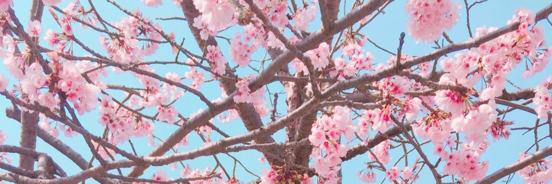 na_chapi's profile banner image