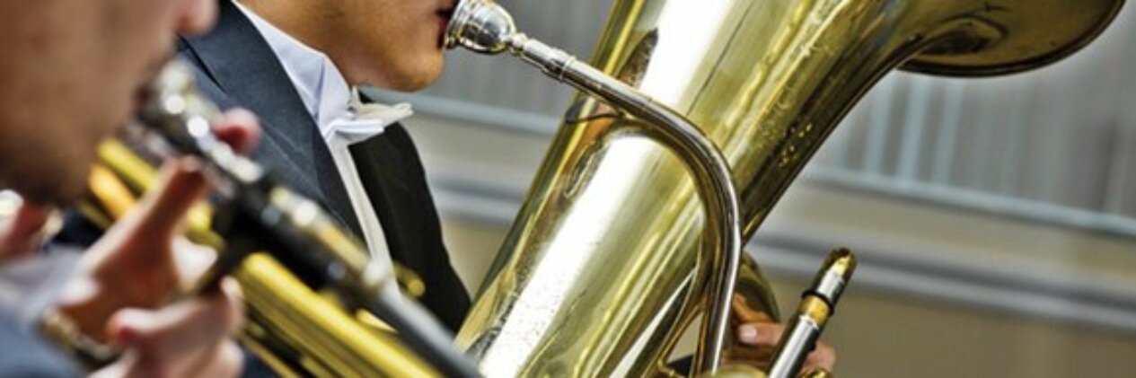 BBEuterpe's profile banner image