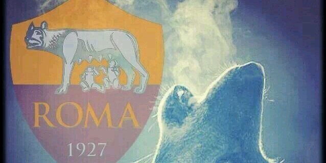 mollo761's profile banner image
