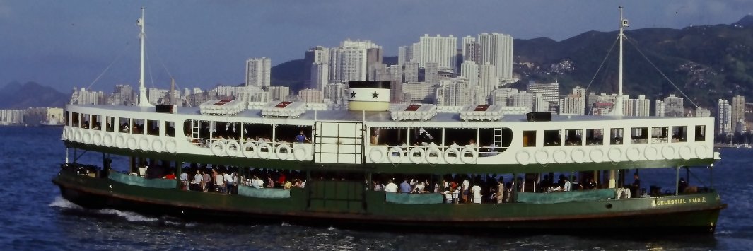 Gregory Lee 利大英 banner