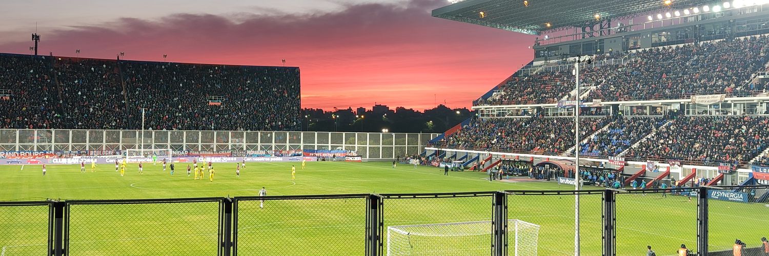 danielapulella's profile banner image