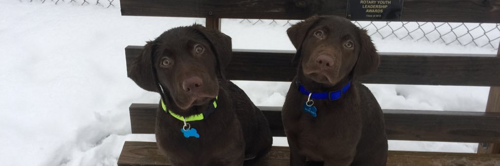 CtoddCindy's profile banner image