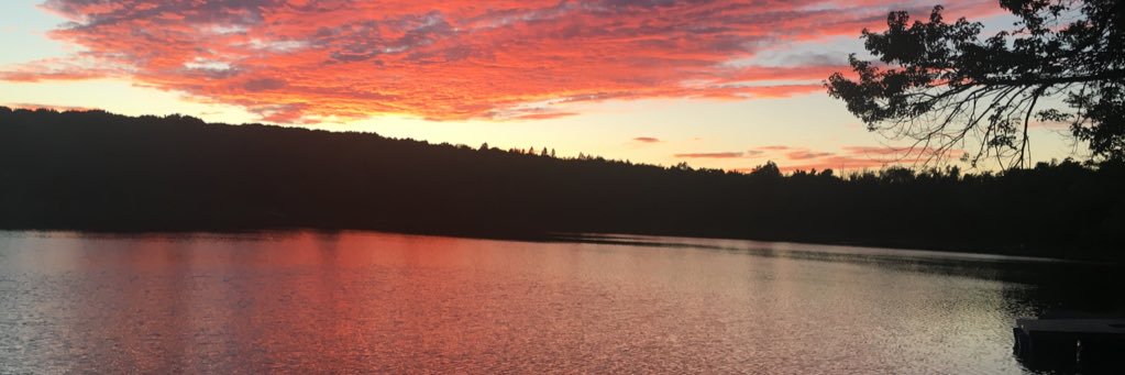 susanschramm's profile banner image