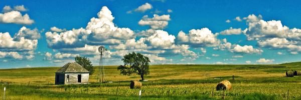 nroland1 Profile Banner