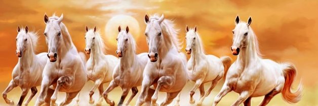 aa_mohan's profile banner image