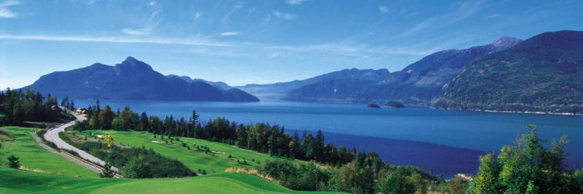 Resilient_one banner