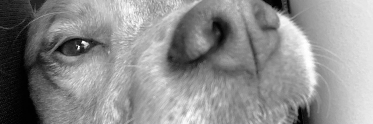 GuzmanMarin01's profile banner image