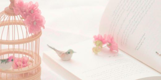 laana2014's profile banner image