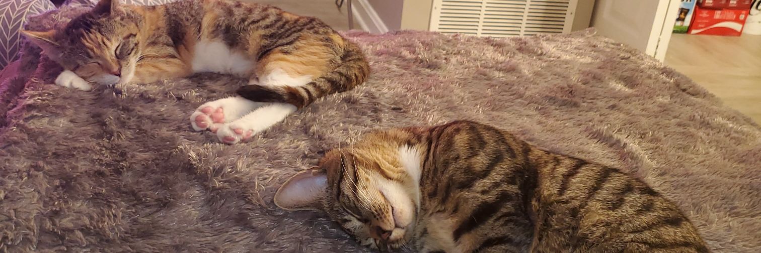 natttmarie's profile banner image