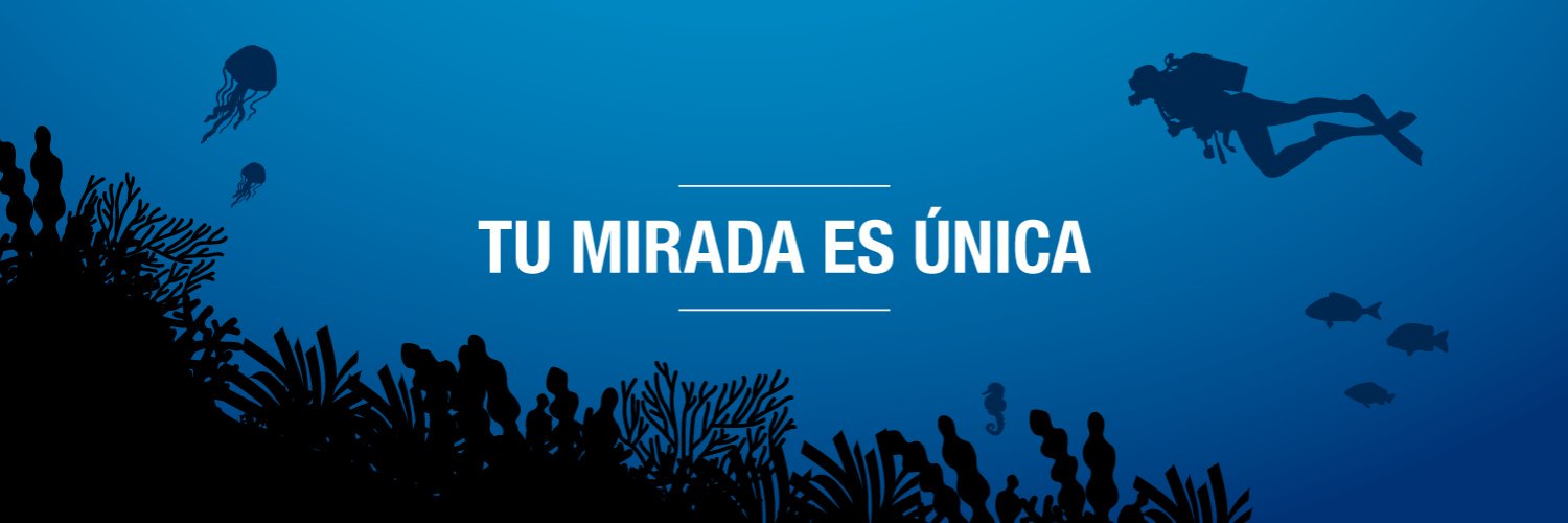 obsdelmar's profile banner image