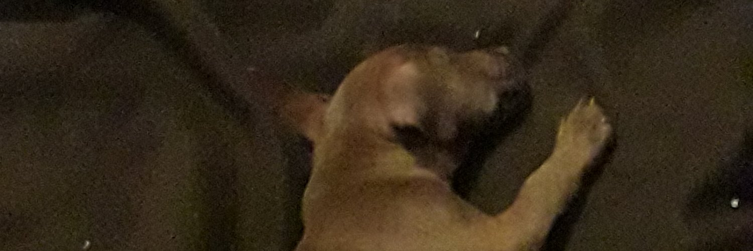 MelanieChalleng's profile banner image