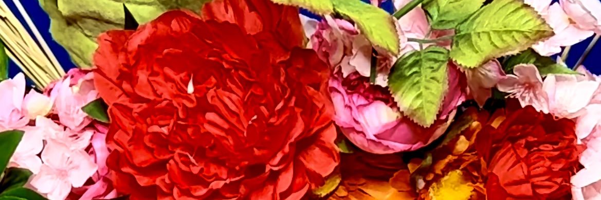 Bridget Barkan banner