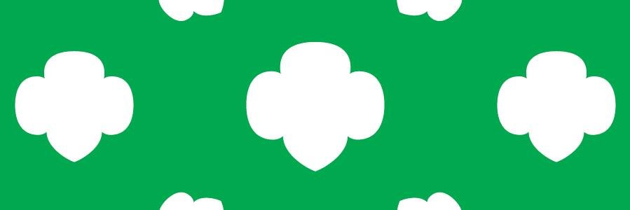 Troop48070's profile banner image