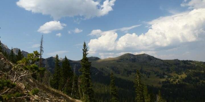 Katharine Marske banner